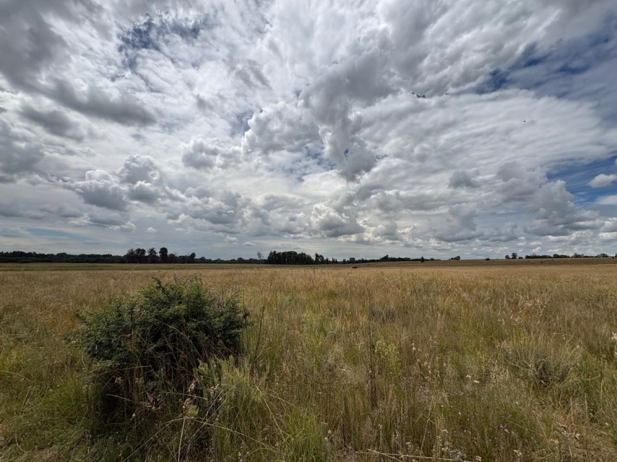 0 Bedroom Property for Sale in Vaalpark Free State